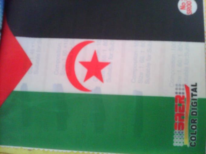 Tinta de impressão da sublimação da tintura para imprimir a bandeira feita sob encomenda de matéria têxtil da bandeira das flâmulas 2