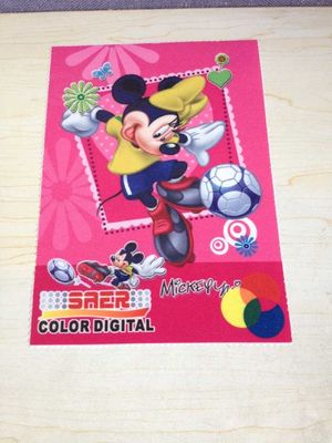 A urdidura fez malha a tela impressa digital para a bandeira da praia do guarda-chuva