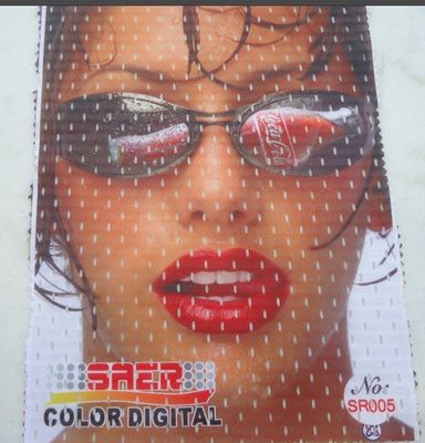 CSR 3200 de Saer da máquina da impressora da bandeira de Singapura da máquina de impressão do grande formato