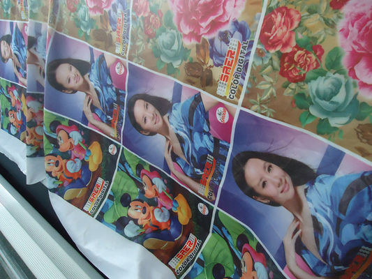 Cortina 100% de Windows do poliéster/tela 110-250 G/G/M da bandeira