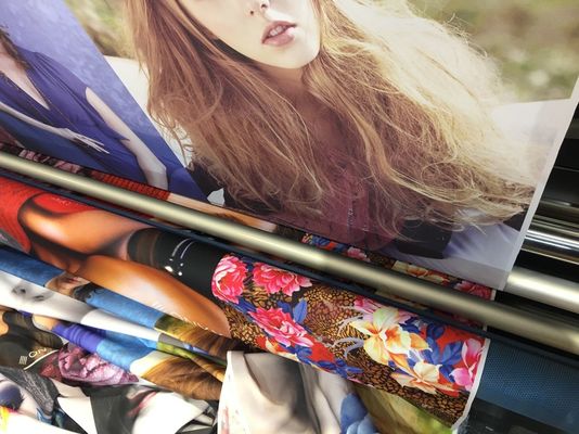 Máquina de impressão automática exterior e interna da tela de Digitas para a bandeira das exposições