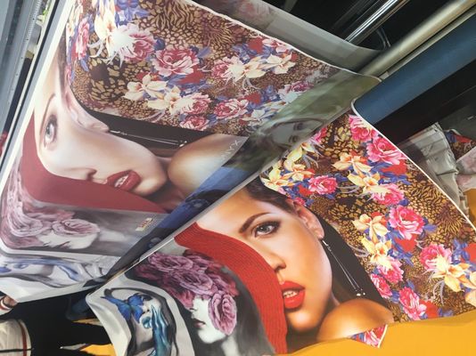 Impressora de CMYK Digitas para a tela/máquina impressão da sublimação com cabeça de Epson 4720