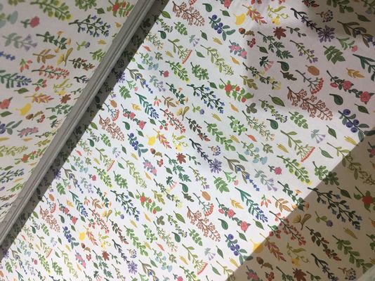 110V / sistema de impressão da tela 220V/máquina de impressão automáticos tela do Inkjet