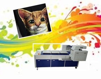 A máquina de impressão da camisa de Digitas T dirige à impressora do vestuário com 8 cabeças de cópia de RICOH