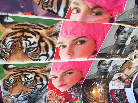 Sistema de impressão do Inkjet de matéria têxtil 1400DPI com cabeças de cópia de 4 partes